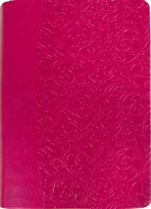 Amplified The Everyday Life Bible Leathertte Fuchsia Pink - Joyce Meyer